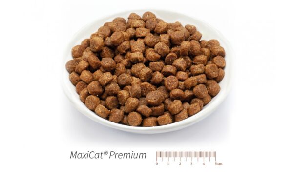 cibo secco premium gatto Reico