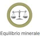 equilibrio minerale